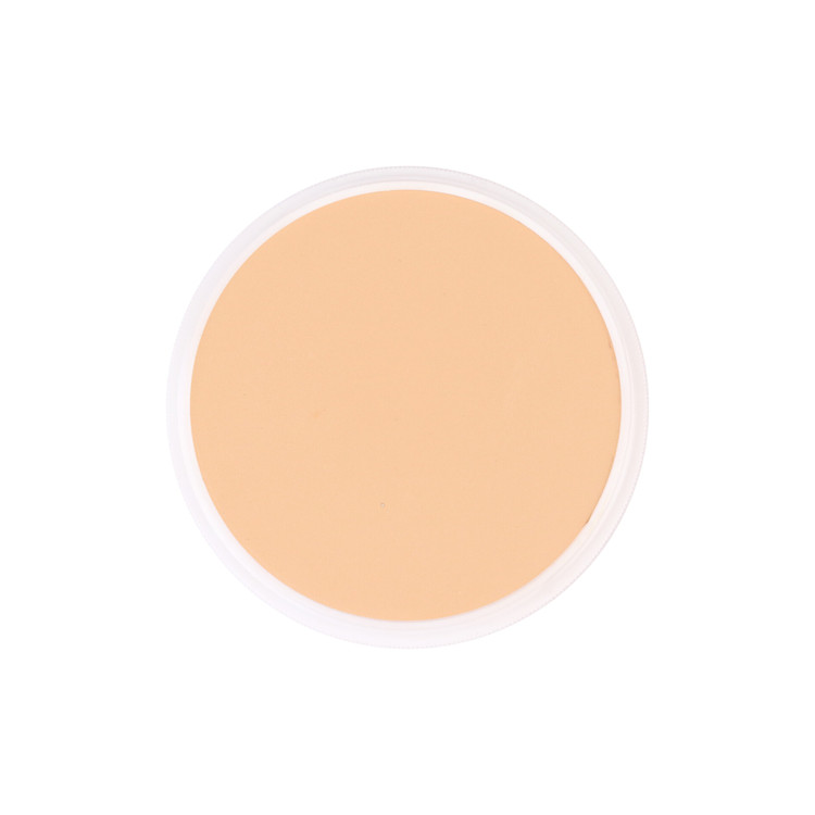 قیمت عمده پنکیک سوشیای صادراتی