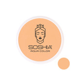 قیمت و خرید بهترین پنکیک استخری