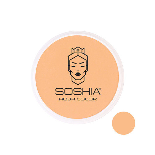 قیمت و خرید بهترین پنکیک استخری