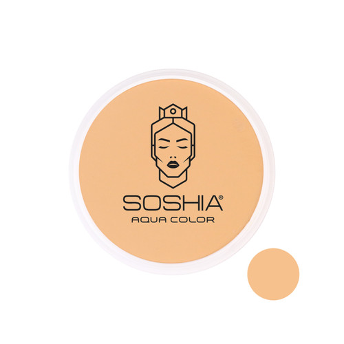 قیمت و خرید پنکک استخری و ضدآب سوشیا