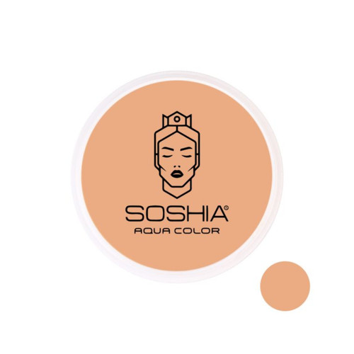 رنگبندی پنکیک های استخری سوشیا