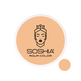 قیمت بهترین پنکک استخری و ضدآب