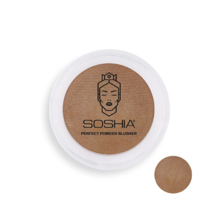 قیمت بهترین و ارزان ترین رژگونه مخملی طلایی سوشیا شماره 3 اصل