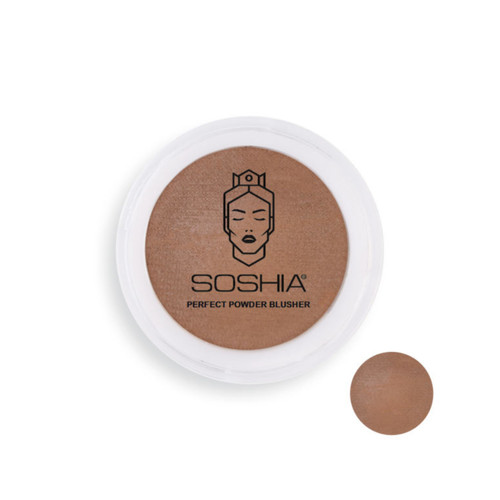 قیمت و خرید پرفروش ترین رژگونه قهوه ای برنز سوشیا شماره 6