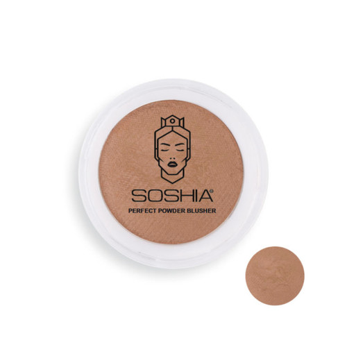 قیمت و خرید رژگونه هلویی ابریشمی حجم دهنده سوشیا