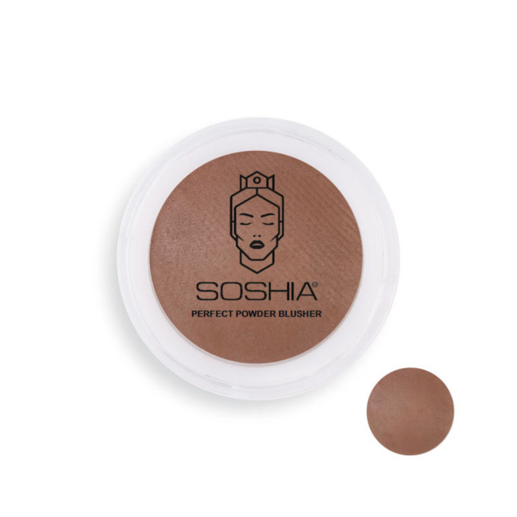 قیمت و خرید پرفروش ترین رژگونه رنگ گوشتی ابریشمی سوشیا شماره 8