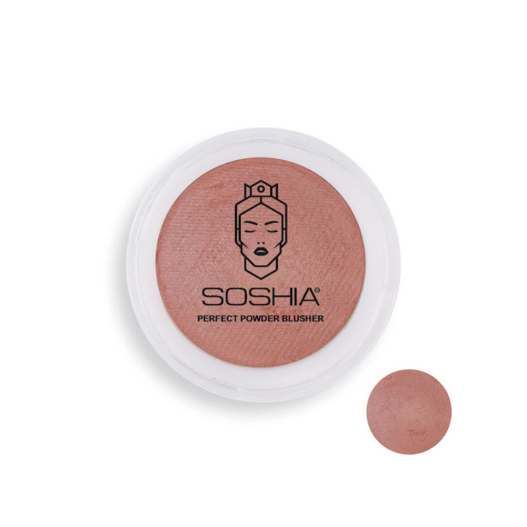 قیمت و خرید بهترین رژگونه صورتی حجم دهنده ابریشمی سوشیا اصل شماره 10