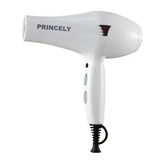 قیمت و خرید سشوار سفید سالنی و خانگی پرنسلی