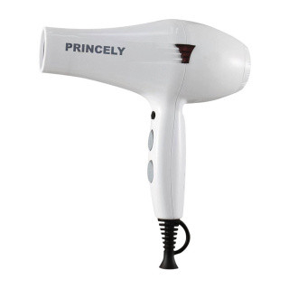 قیمت و خرید سشوار سفید سالنی و خانگی پرنسلی